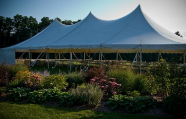 Tent Toppers Event Rental