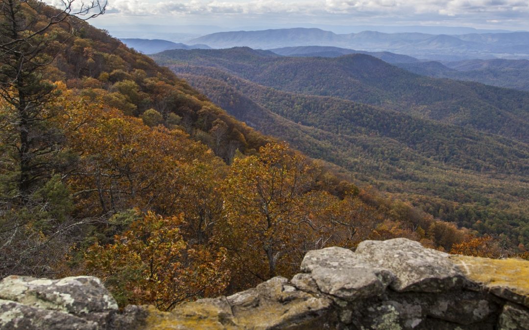 How to Spend the Perfect Three-Day Weekend in Virginia