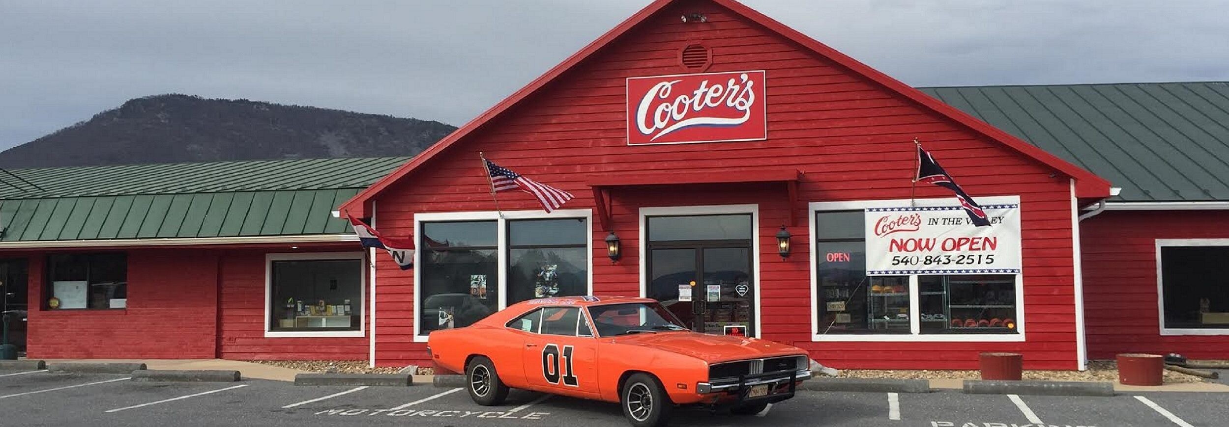Cooters