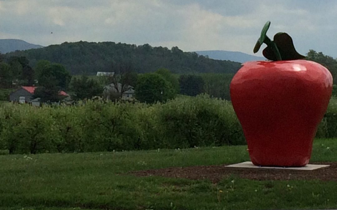 Nine Incredible Farmers Markets in the Shenandoah Valley