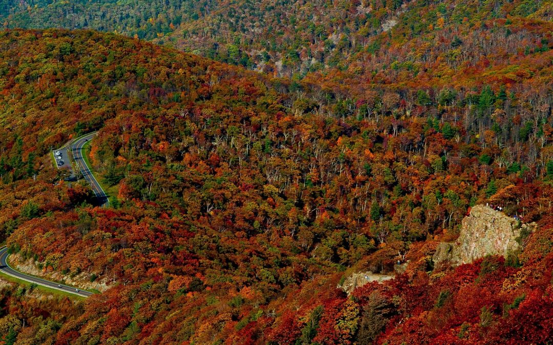 Explore Virginia’s Most Breathtaking Scenic Fall Drives