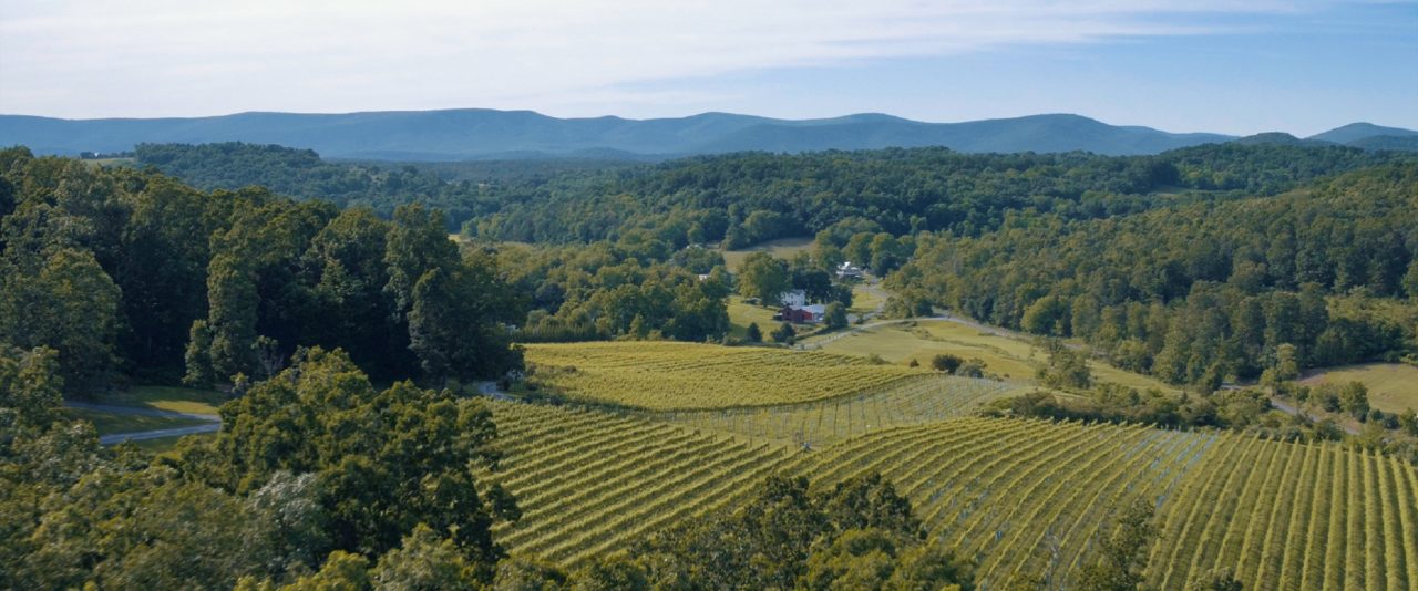 Visit Shenandoah Valley - Fall Flavors: Shenandoah Valley Vineyards ...