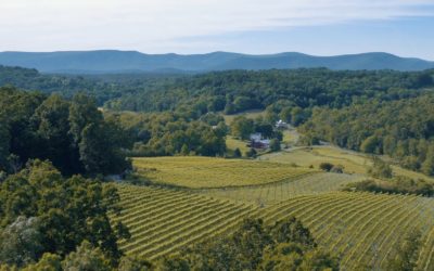 Fall Flavors: Shenandoah Valley Vineyards & Their Makers
