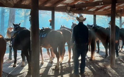 Rugged Guy’s Fun in the Shenandoah Valley