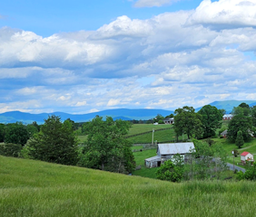 Piney Hill B&B and Cottages