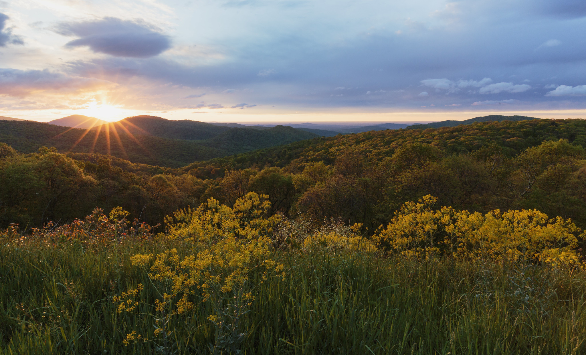 Visit Shenandoah Valley - Shenandoah National Park Announces Spring ...