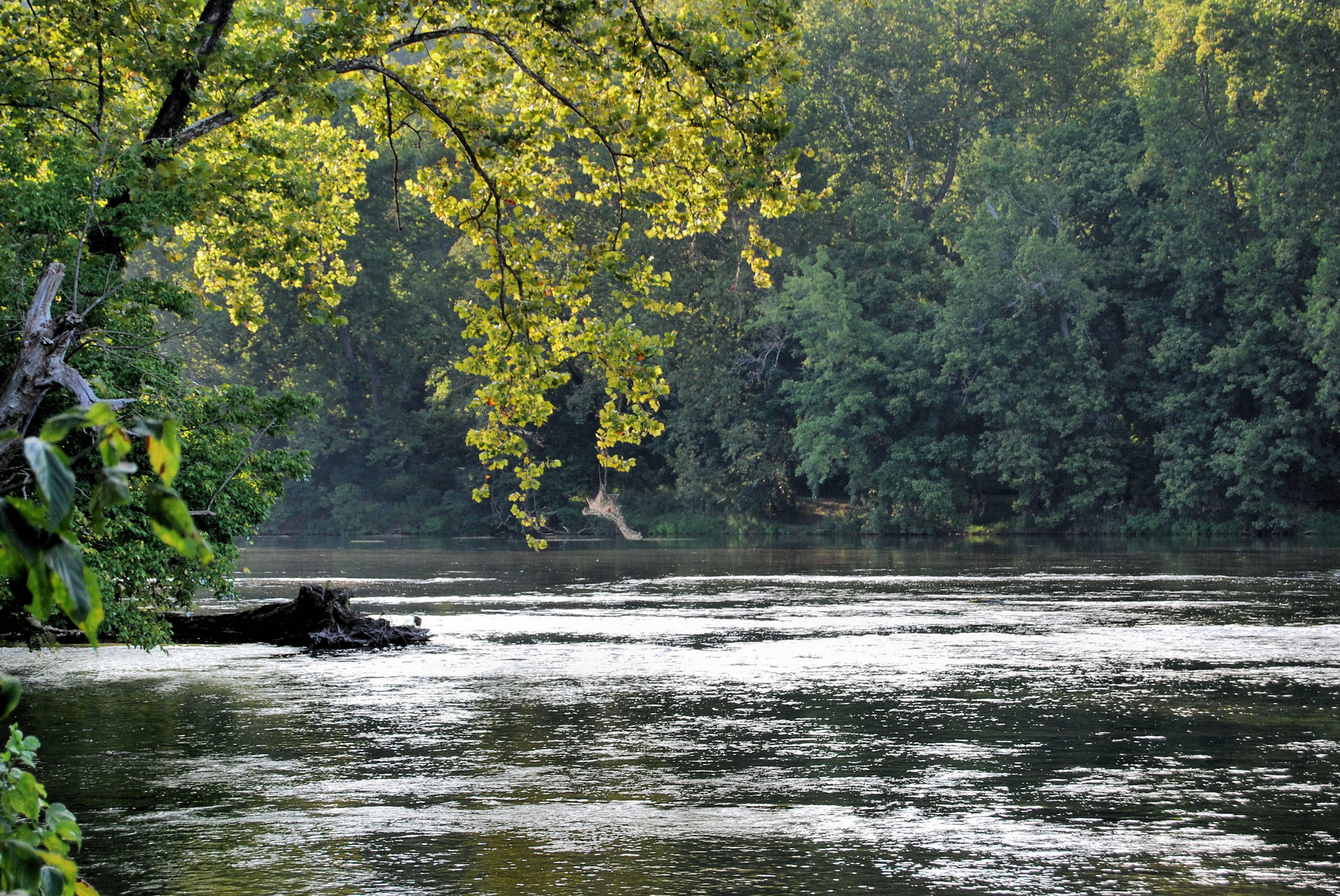 Chill Out this Summer at Shenandoah River State Park Visit Shenandoah