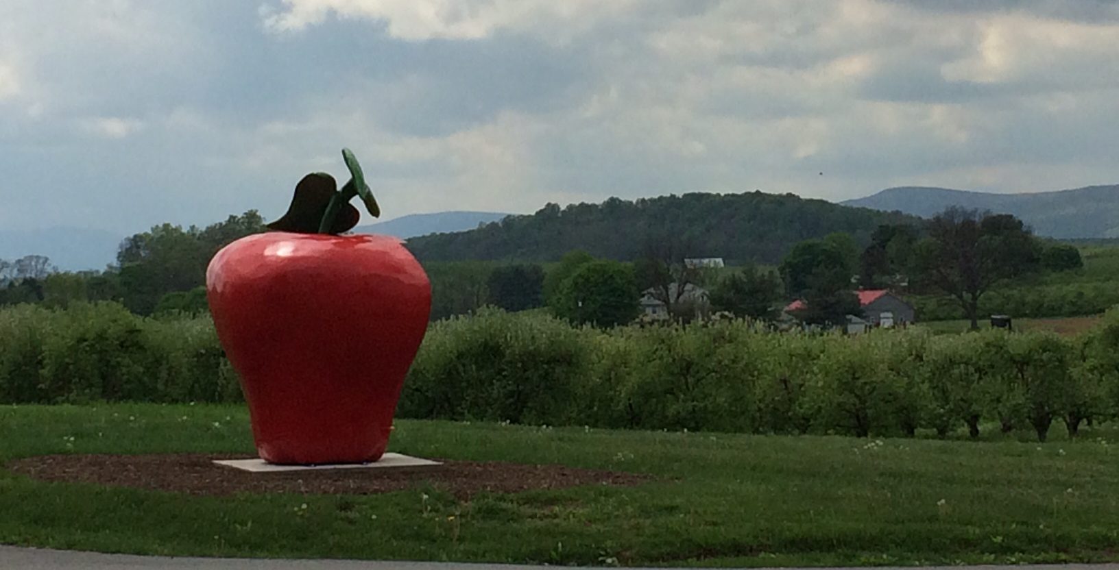 https://visitshenandoah.org/wp-content/uploads/2021/08/Marker-Miller-Orchards-scenic-view-from-the-farm-IMG_1067-e1627869508160.jpg