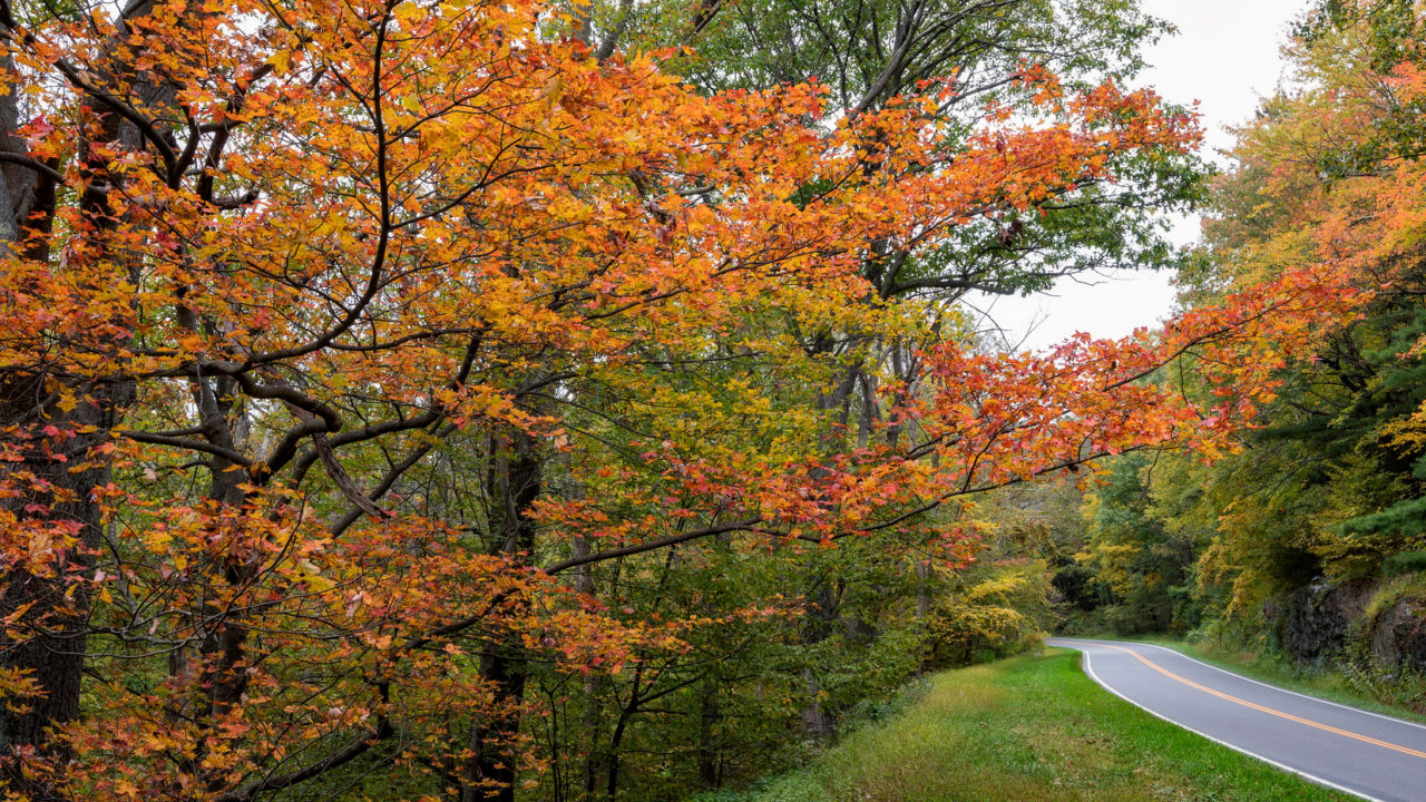 Visit Shenandoah Valley - 10 Perfect Places to See Fall Foliage in the ...