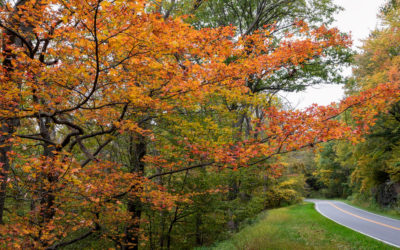 10 Perfect Places to See Fall Foliage in the Shenandoah Valley