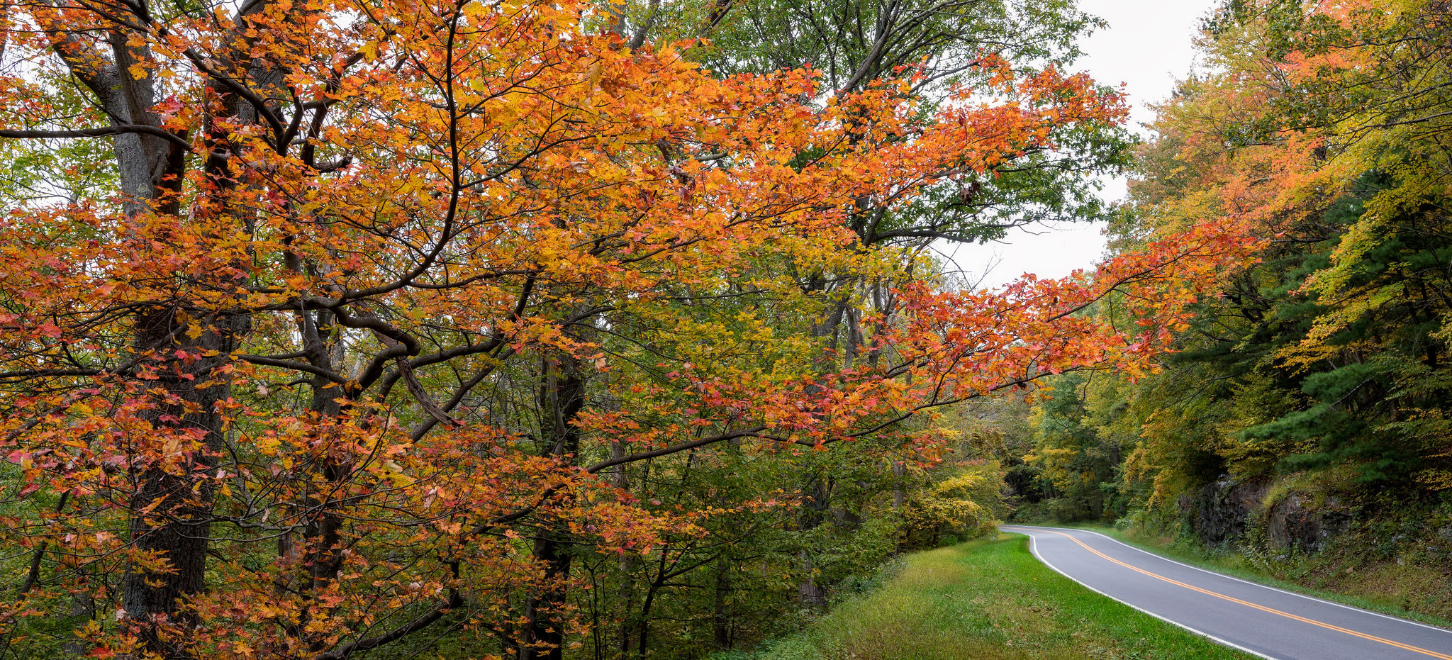 Skyline Drive through Shenandoah National Park.