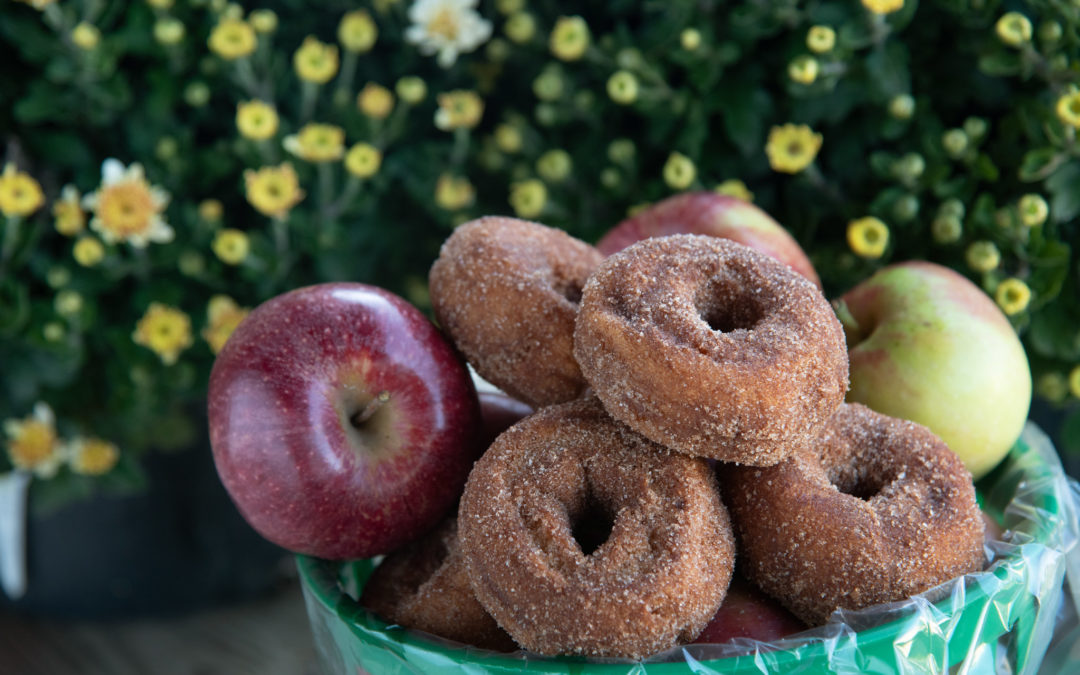 Apples, Cider, Donuts – Oh My!