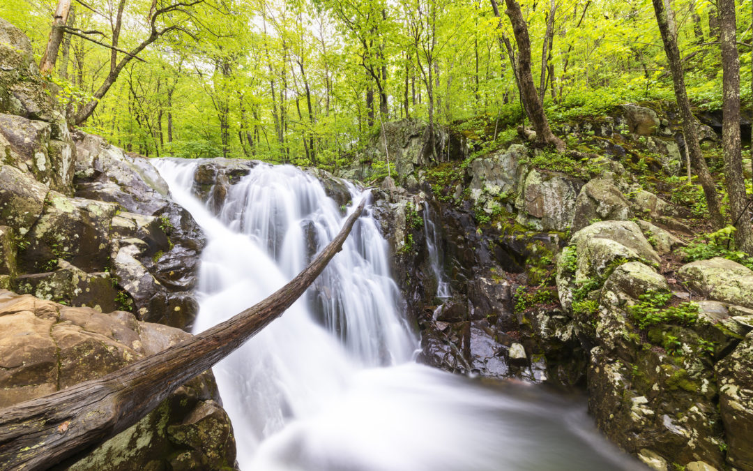 Chasing Waterfalls in Shenandoah National Park