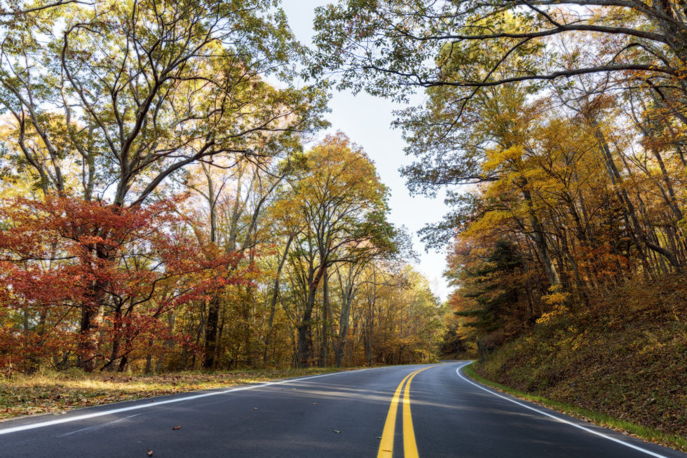 Visit Shenandoah Valley - 10 Places To Find The Prettiest Fall Foliage ...