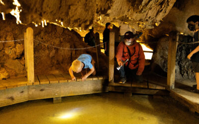 Seven Caverns in the Shenandoah Valley