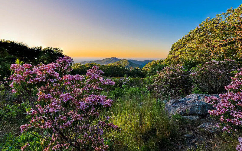 Shenandoah National Park. Scott Jacobson, IG account: @scottjacobsonphotography; courtesy of Virginia Tourism Corporation