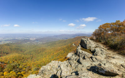 Shenandoah Valley is the Best Destination for Fall Foliage