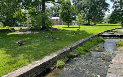 This Summer at the Museum of the Shenandoah Valley