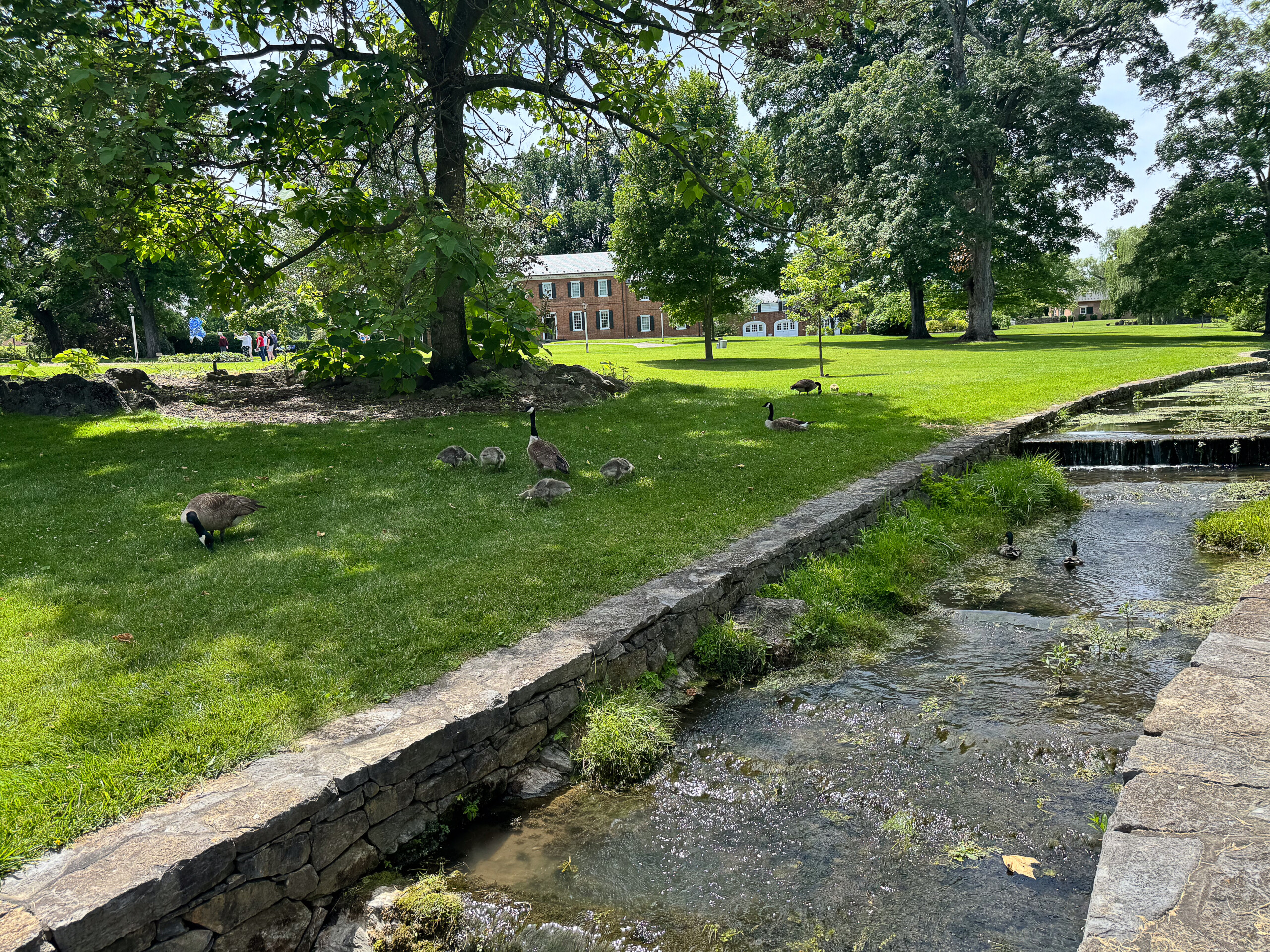 Museum of the Shenandoah Valley