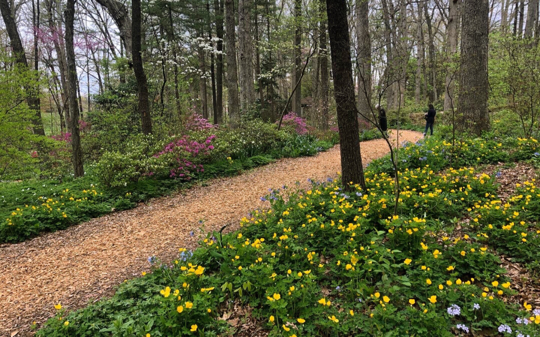 Worth the Drive: Spring Wildflowers & You-Pick Farms