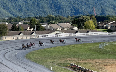 Beyond Derby Day: Shenandoah County’s Horse Racing