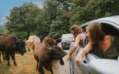 Five Great Group Outings in the Shenandoah Valley
