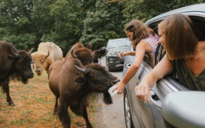 Five Great Group Outings in the Shenandoah Valley