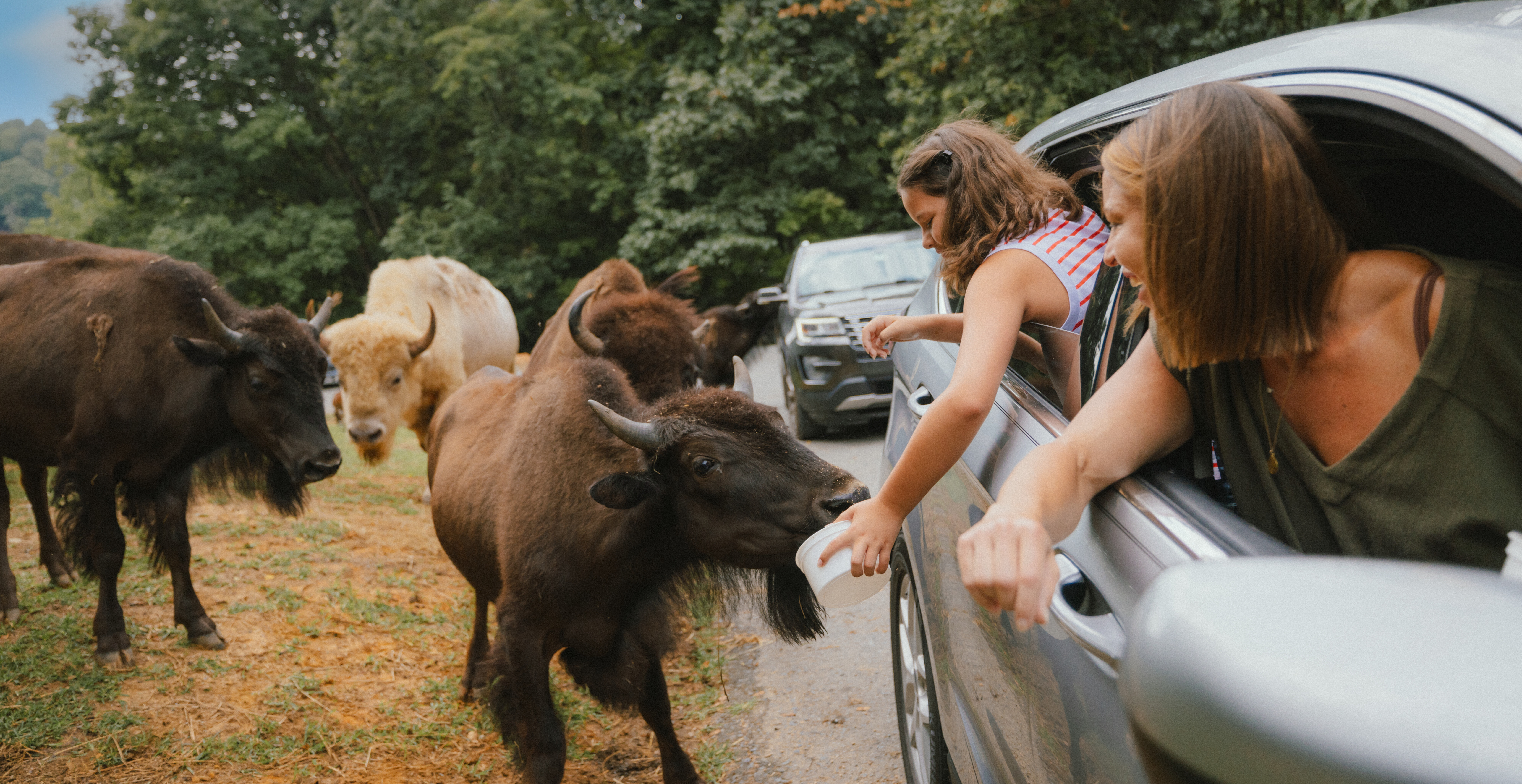 Virginia Safari Park. Photo by Sam Dean (@sdeanphotos).