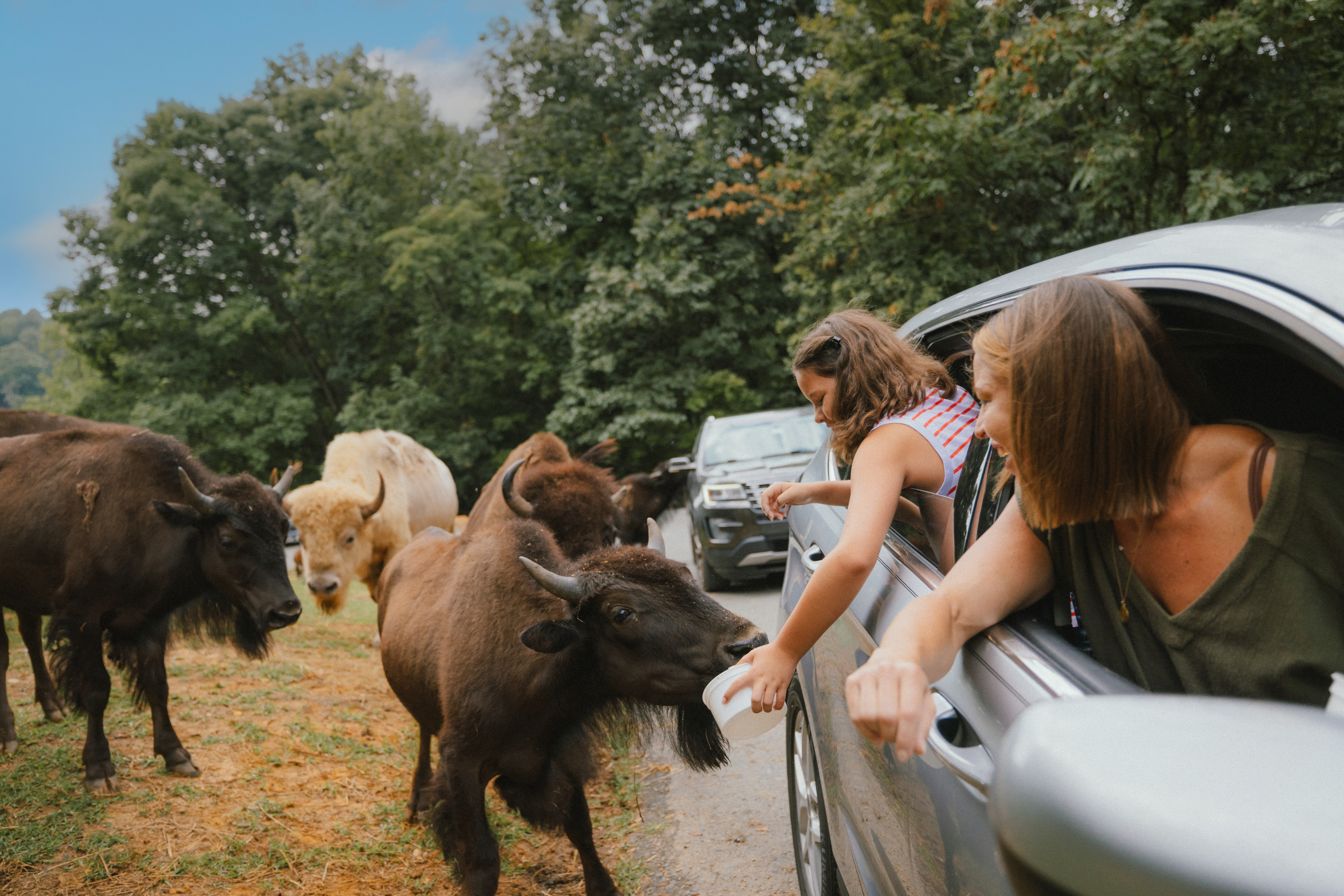 Virginia Safari Park. Photo by Sam Dean (@sdeanphotos).