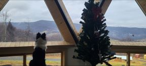 Lunar Lookout