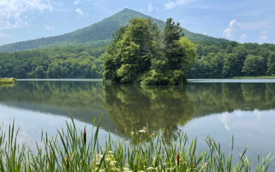 Summertime in Bedford, Virginia