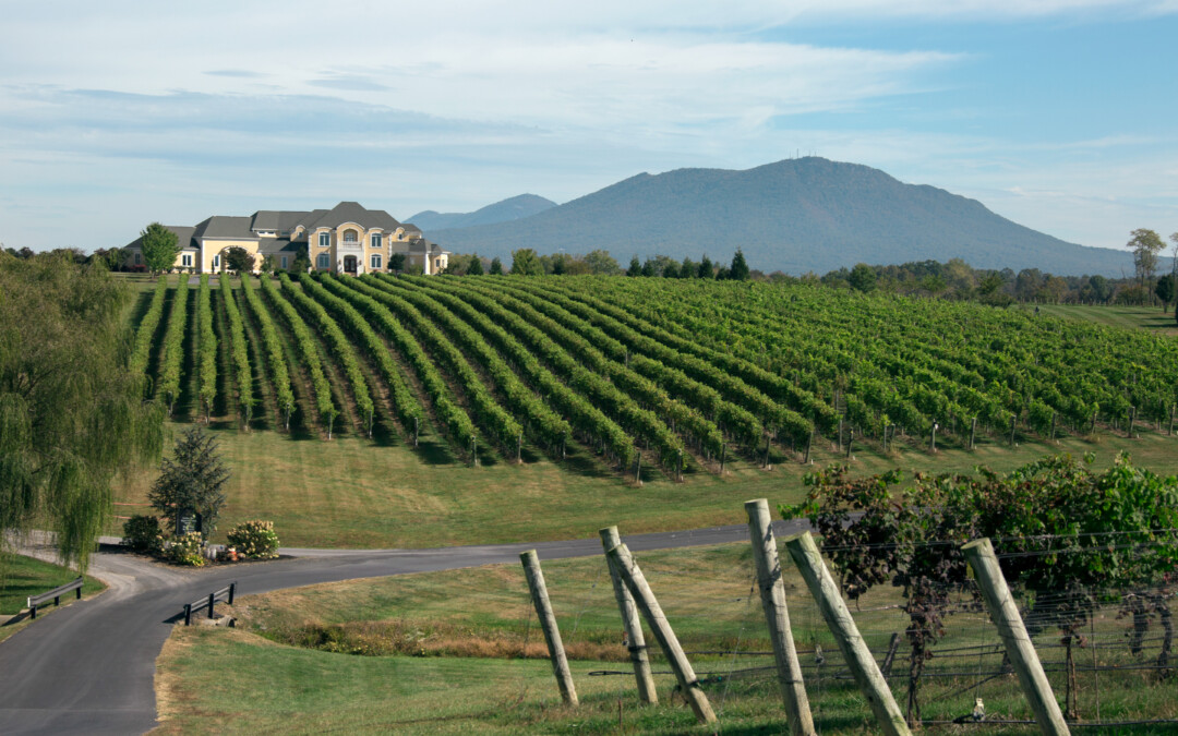 Destination Weddings in the Shenandoah Valley