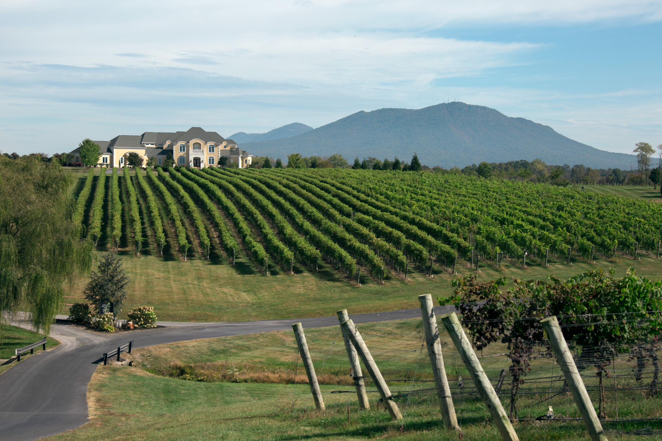 CrossKeys Vineyards. Photo by Sarah Ann Atkins and courtesy of Virginia Tourism Corporation.