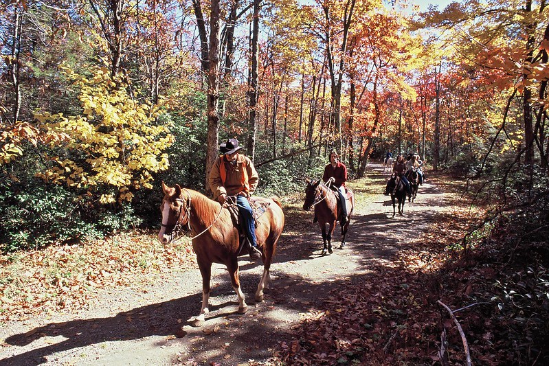 Trail Ride-Skyland on Old Rag Fire Road