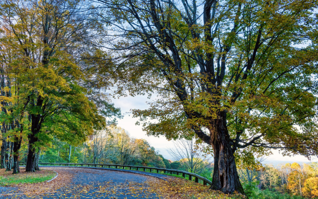 Fall in the Shenandoah Valley: Virginia’s Most Scenic Mountain Drives