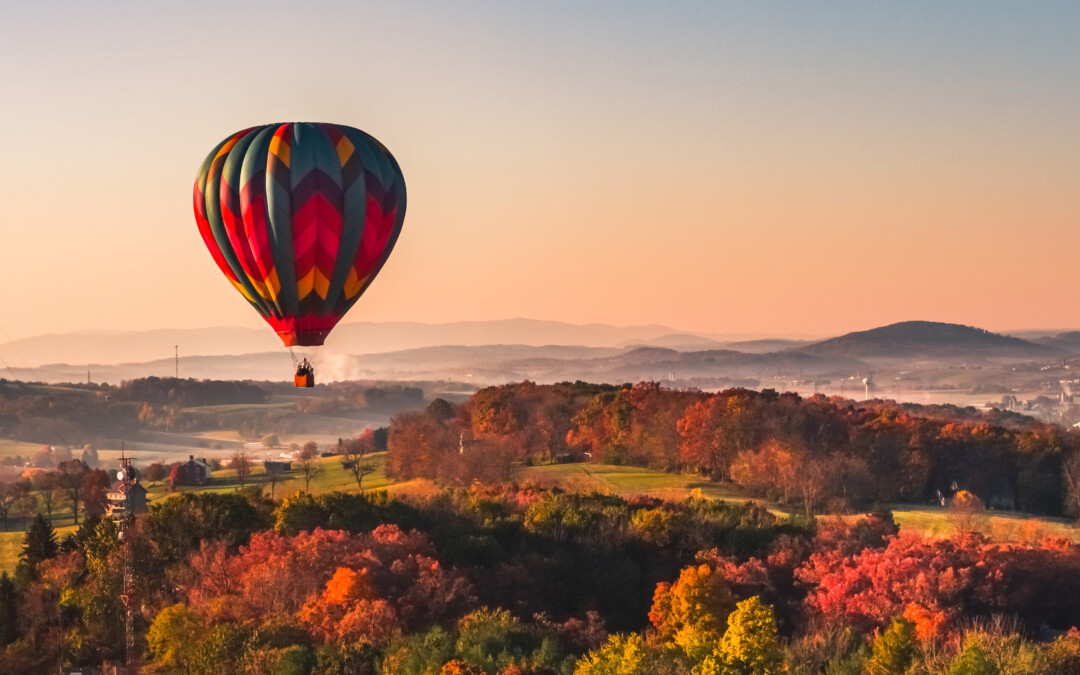 Your Go-To Guide for Fall Fun