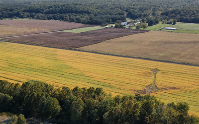 Cross Keys and Port Republic Battlefields