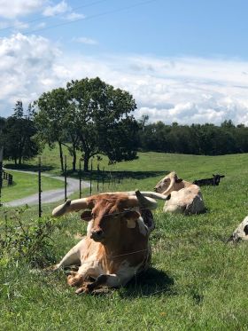 Rivers Bend Ranch