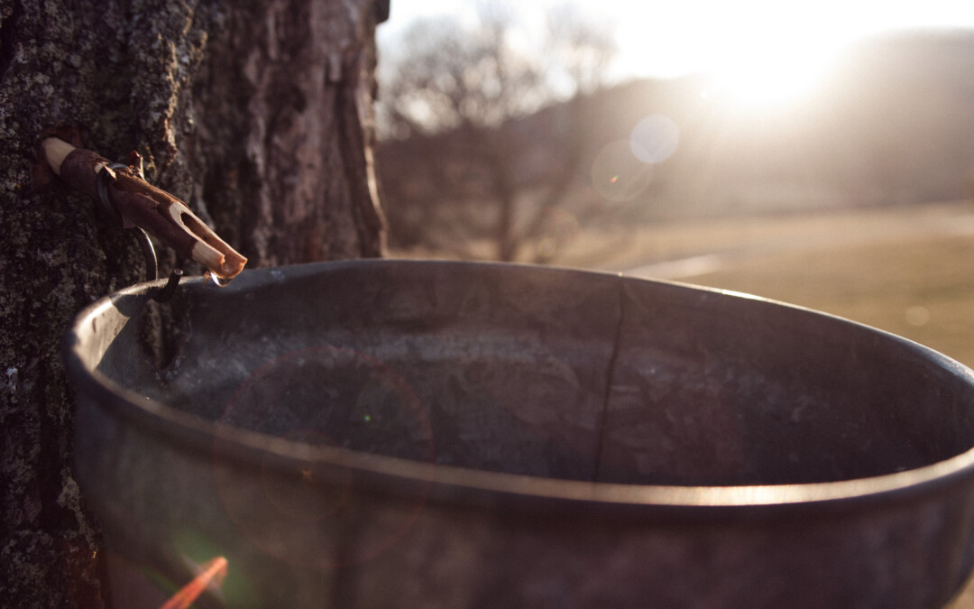 A Sweet Escape to the Highland County Maple Festival