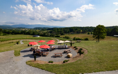 Sip and Savor: Shenandoah Valley Wineries with a View