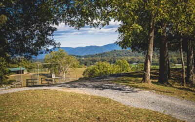 Fall Is the Best Time to Visit Virginia Safari Park