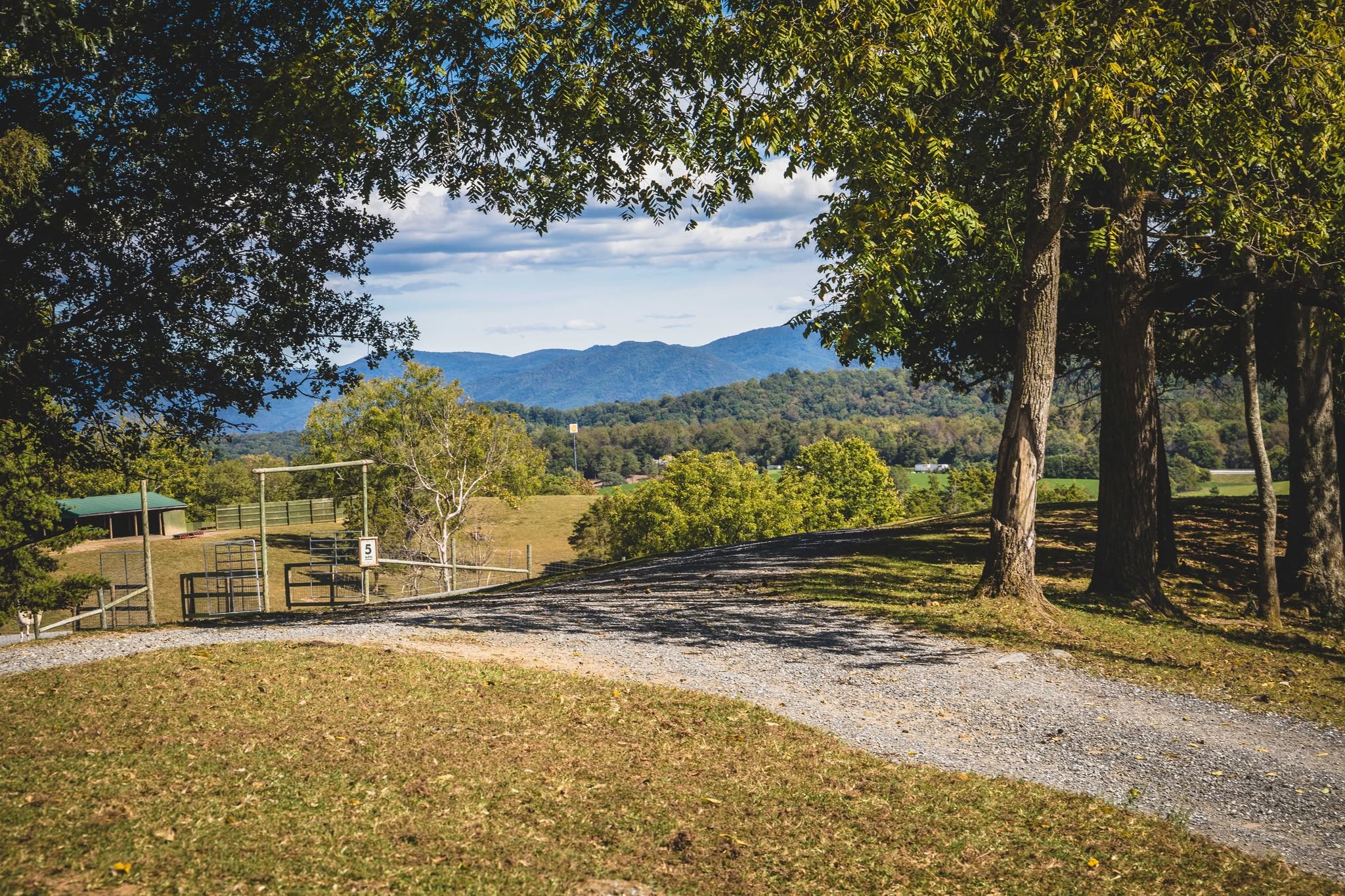 View from Virginia Safari Park