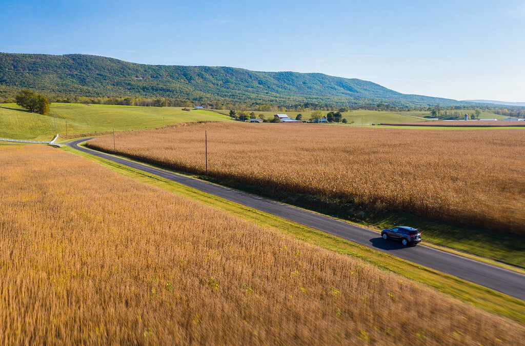 Fall in Shenandoah County, VA