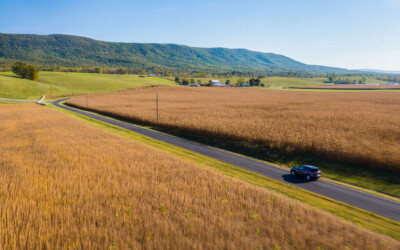 Fall in Shenandoah County, VA