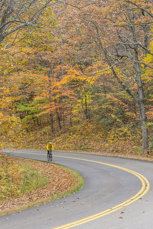 Cyclist on the Blue Ridge Parkway. Photo by Steve Shires; courtesy of Lexington & Rockbridge Area Tourism